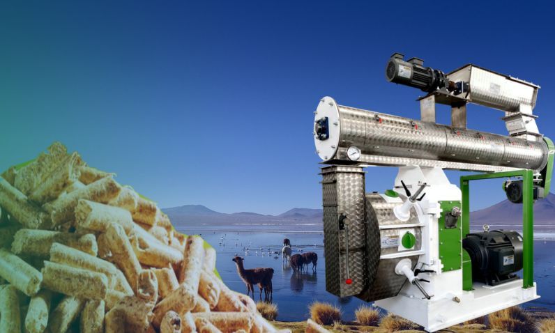 feed mill pellet machine for livestock