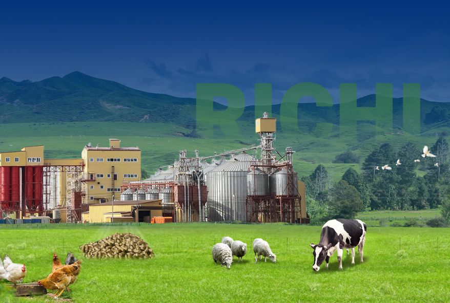 100-120tph feed mill engineering