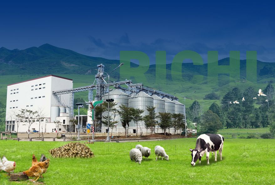 60-80tph feed mill plant