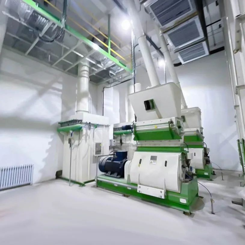 Thailand 15 t/h high-end pig feed project officially put into production