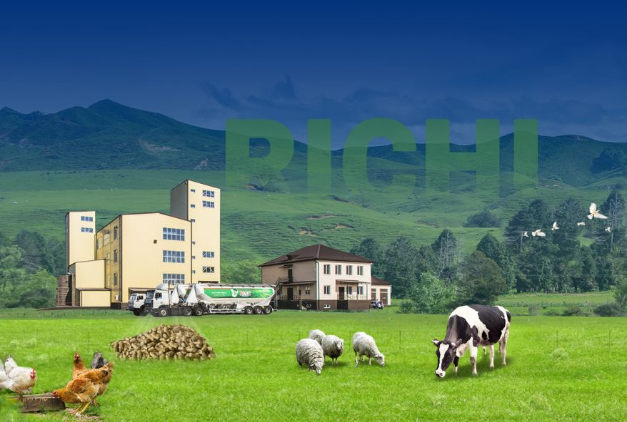 Animal Feed Pellet Plant