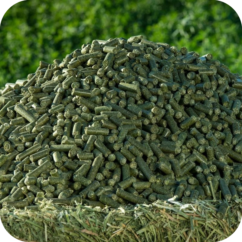 grass pellet