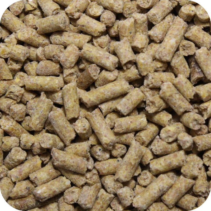 pellet feeds