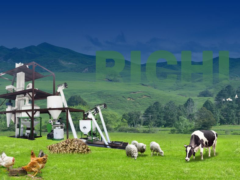 Customized 1-2tph small animal feed mill design
