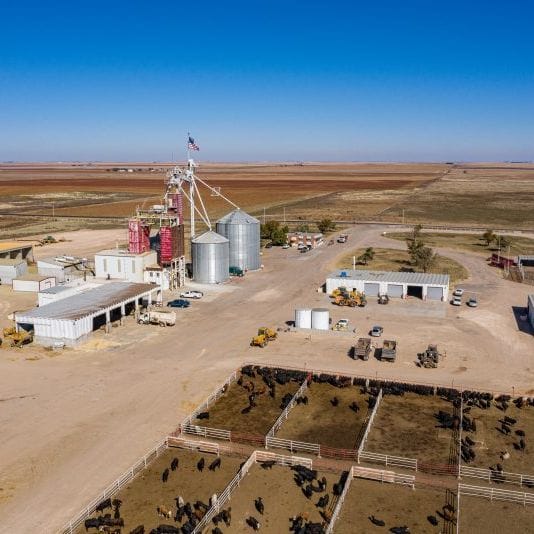 Kazakhstan straw processing project officially launched