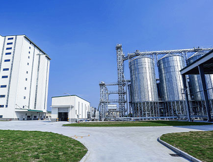 cattle feed plant machinery in russia