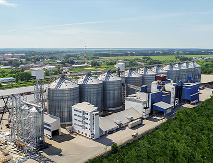 cattle grass feed plant machinery in USA