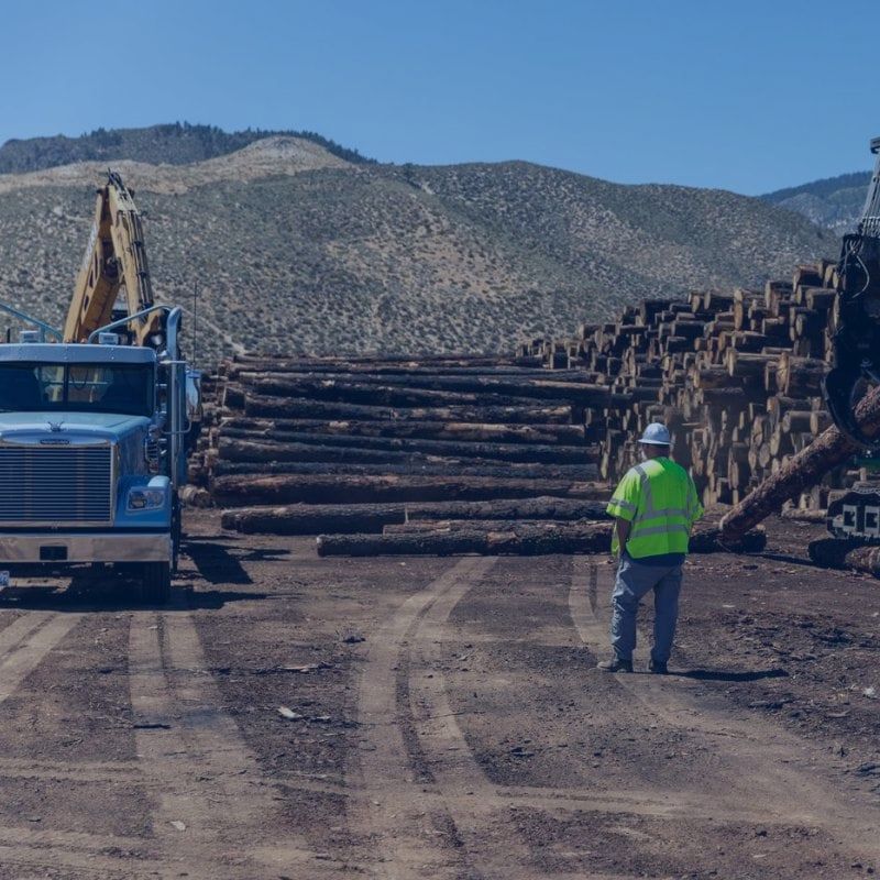 Timber Mill