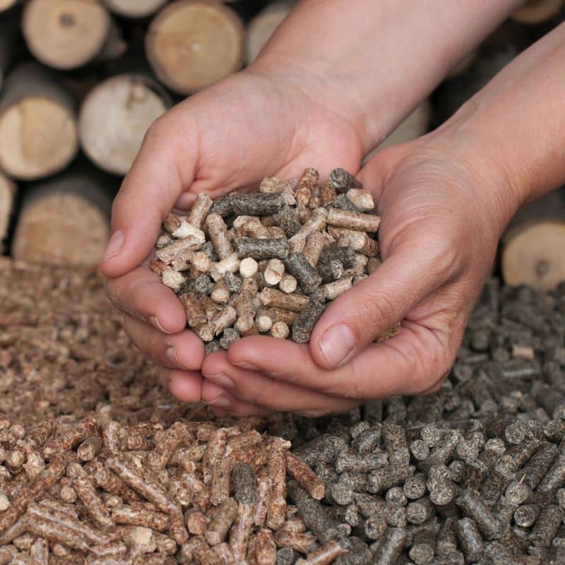 pellets