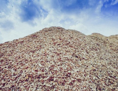 wood chip