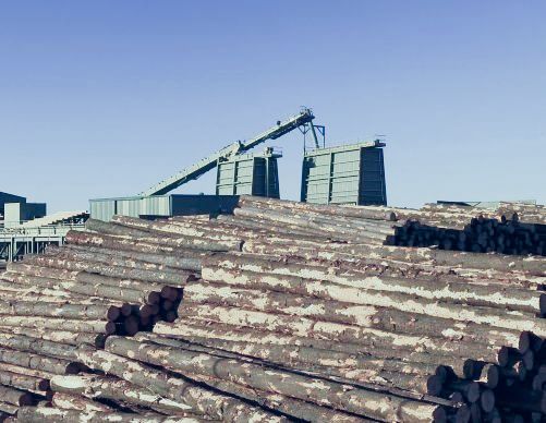 wood logs