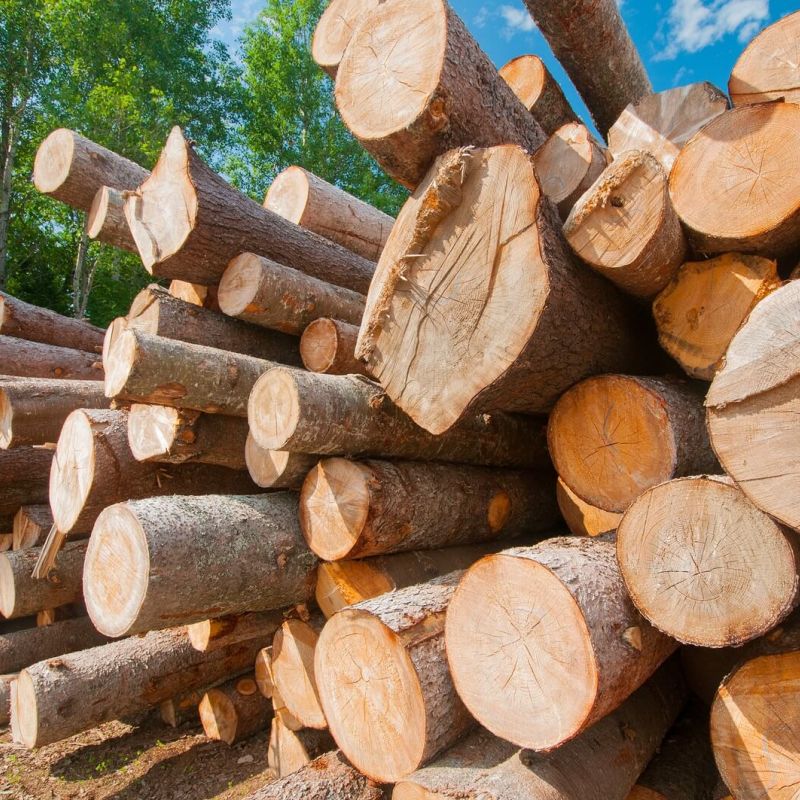 wood waste