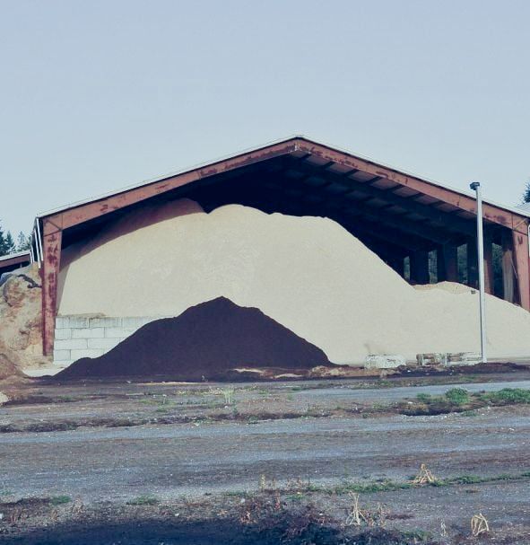 woodsawdust