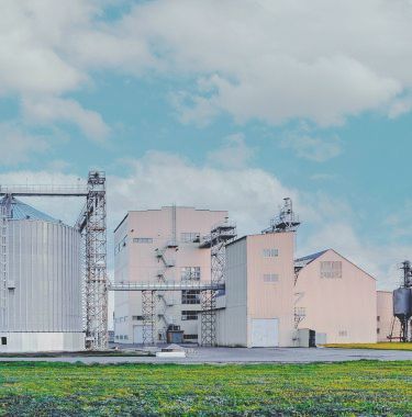fish feed mill plant