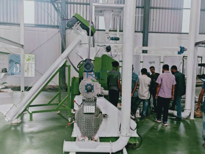 1 T/H Tofu cat litter pellet production line in Bengal