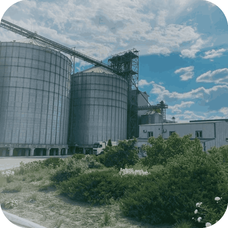 Soybean factory