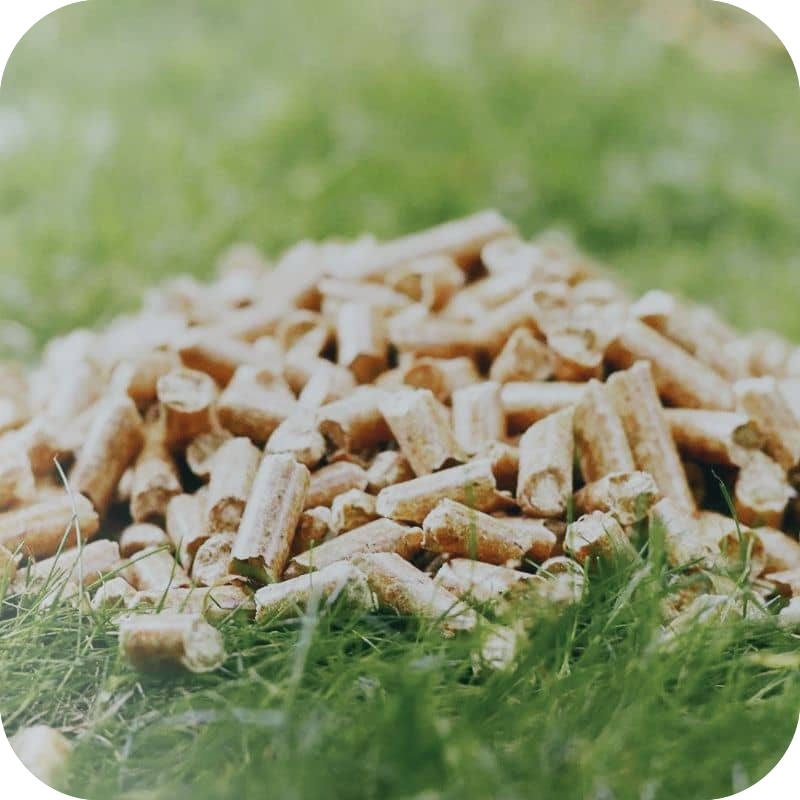 animal bedding pellet