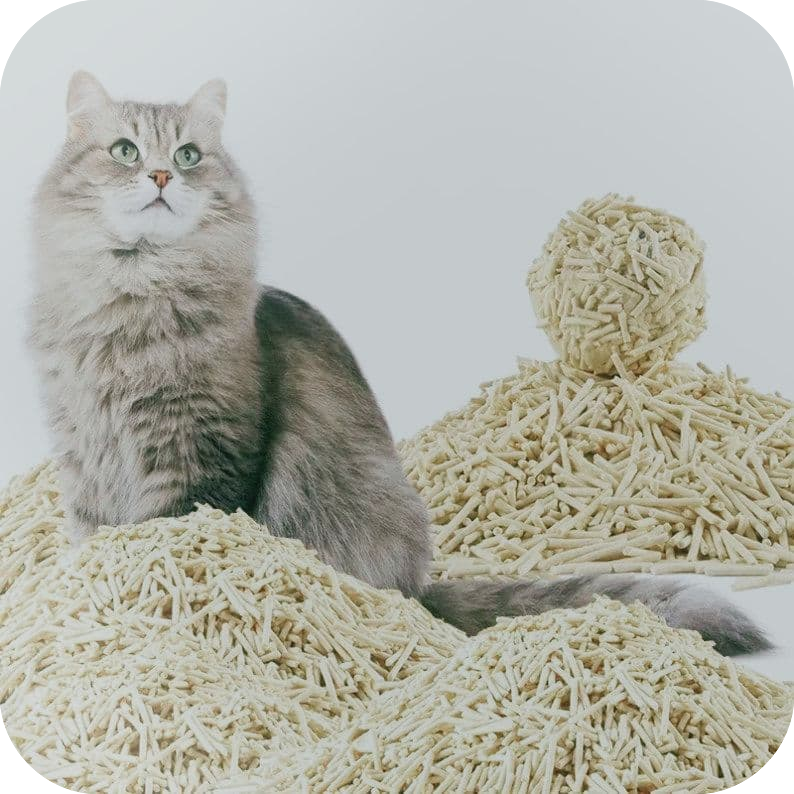 cat litter pellet
