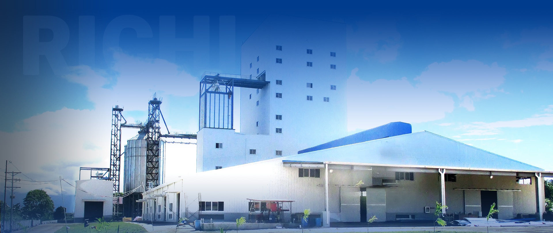 cat litter production line solution