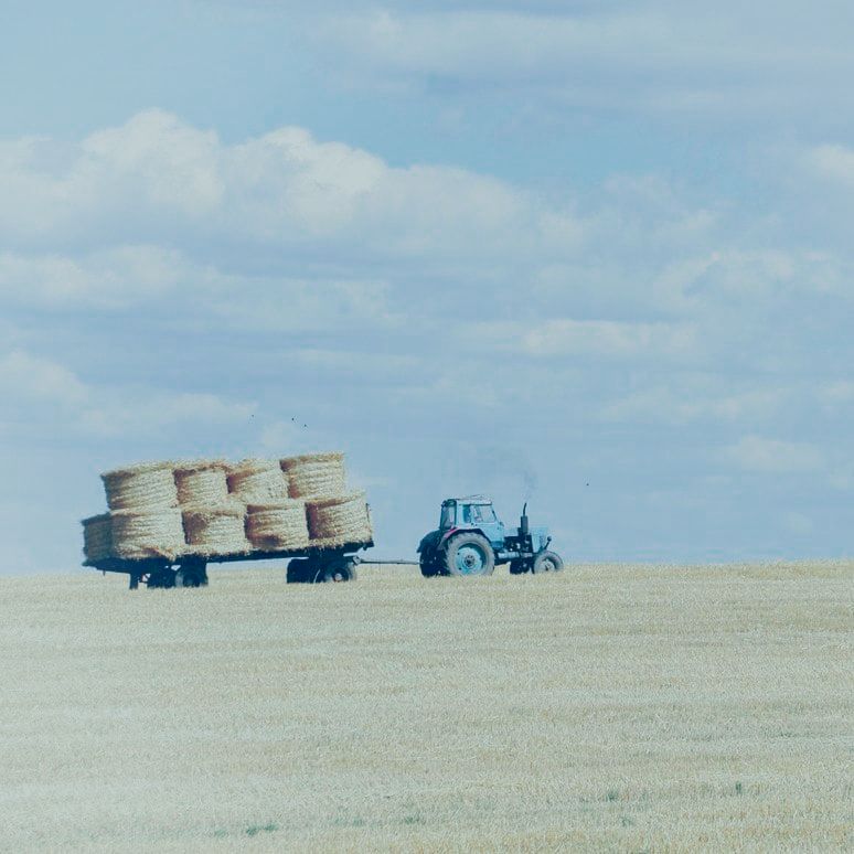 farm