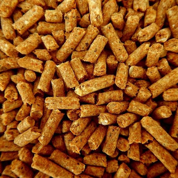 feed pellet