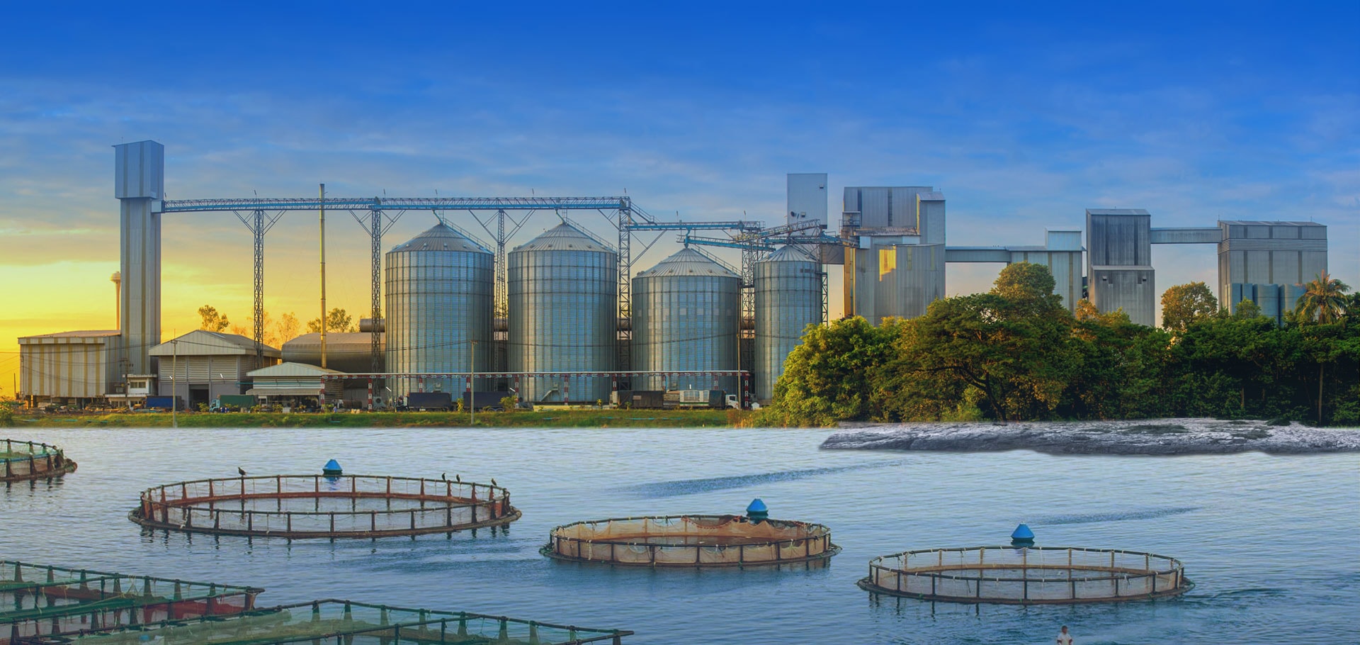 fish-farming