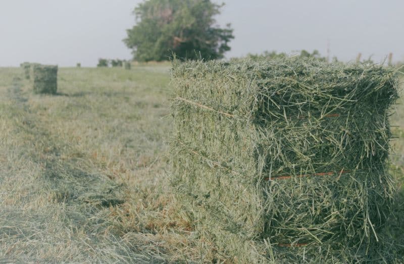 grass materials