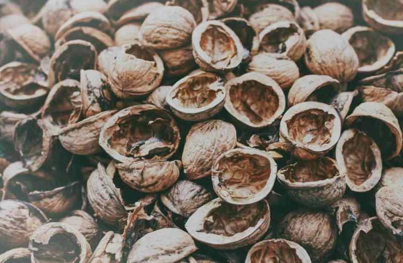 husk materials