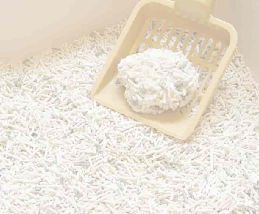 litter for cat
