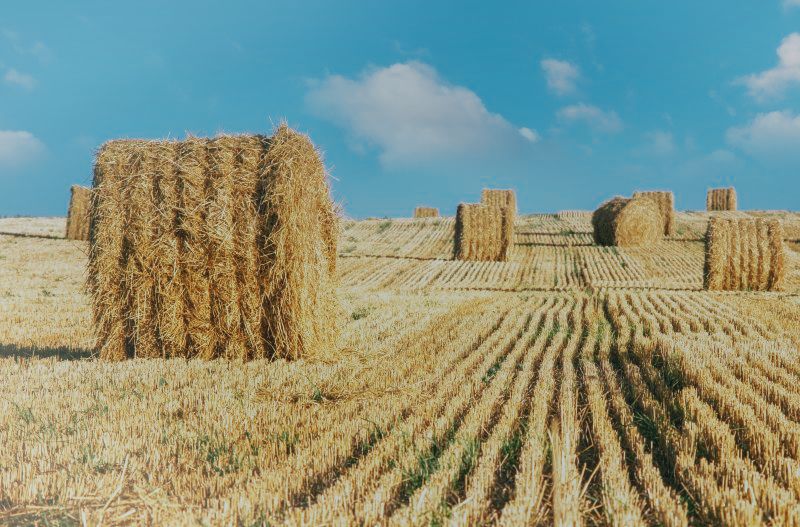 straw materials