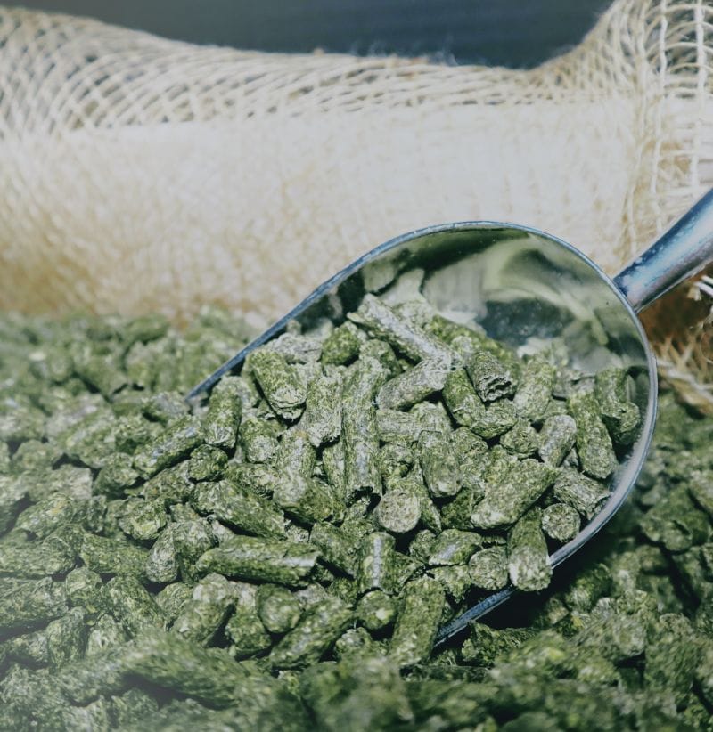 Alfalfa Pellets