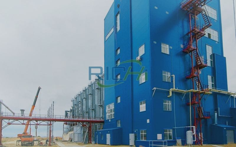 Fish Feed Production Line in Mexico