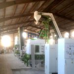 fish feed mill plant in Iran