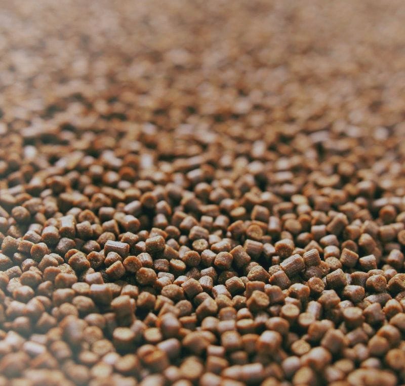 fish feed production with twin screw technology