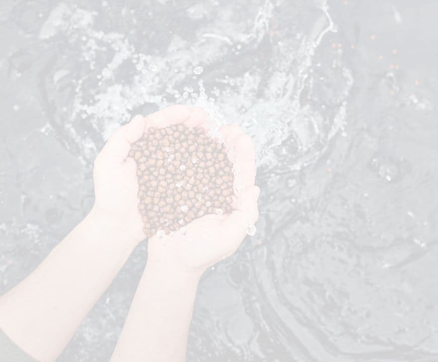 floating feed for fish