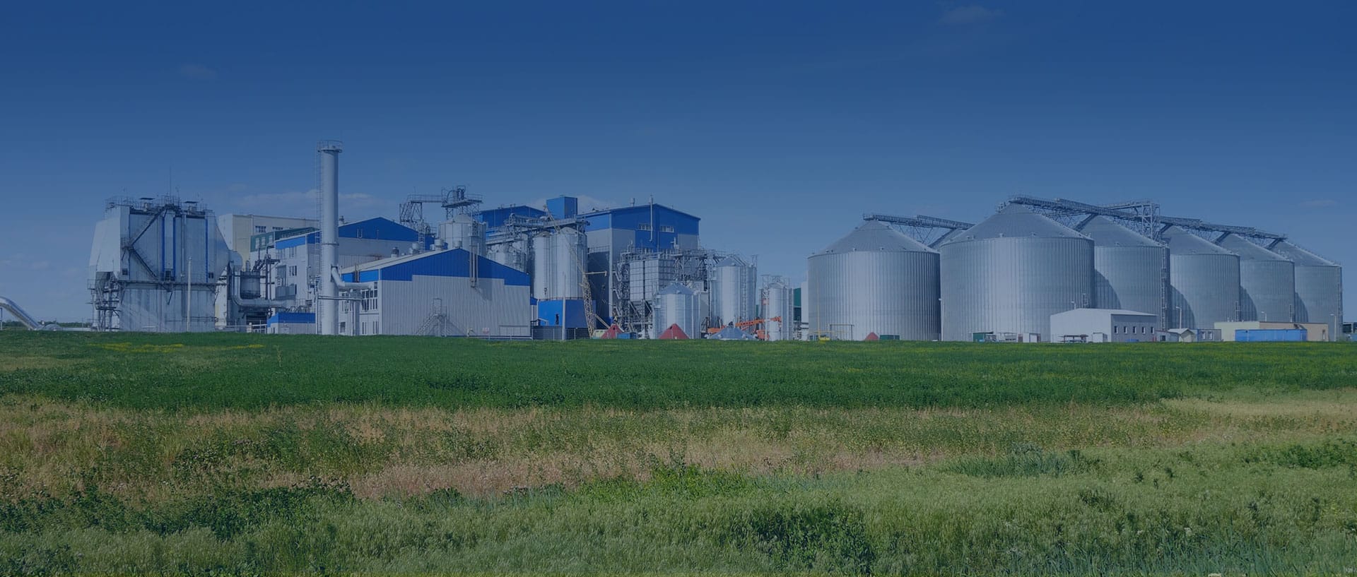 grass pellet machine plant