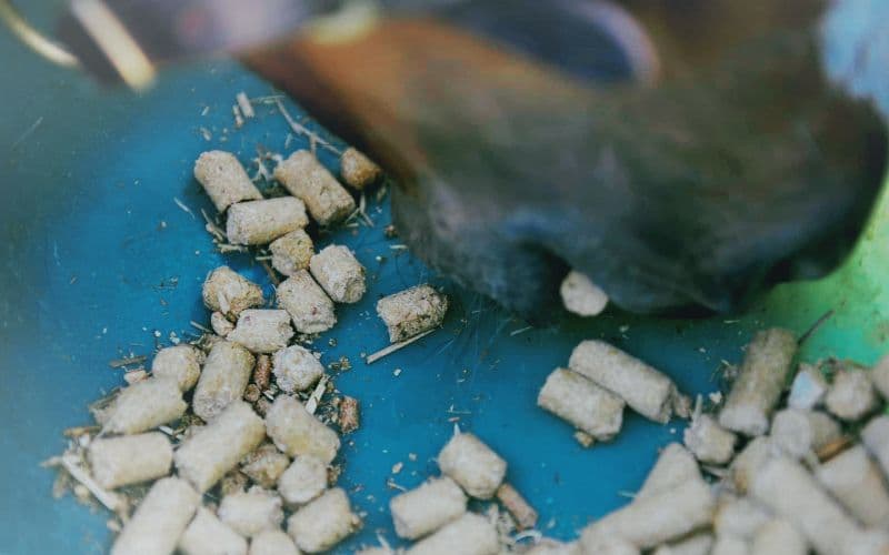 horse feed from straw