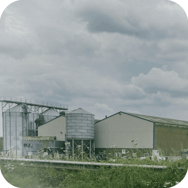 straw pellet plant