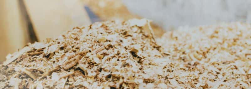sawdust size