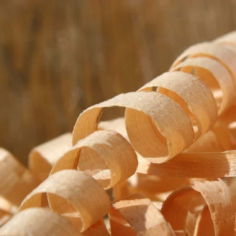 shavings