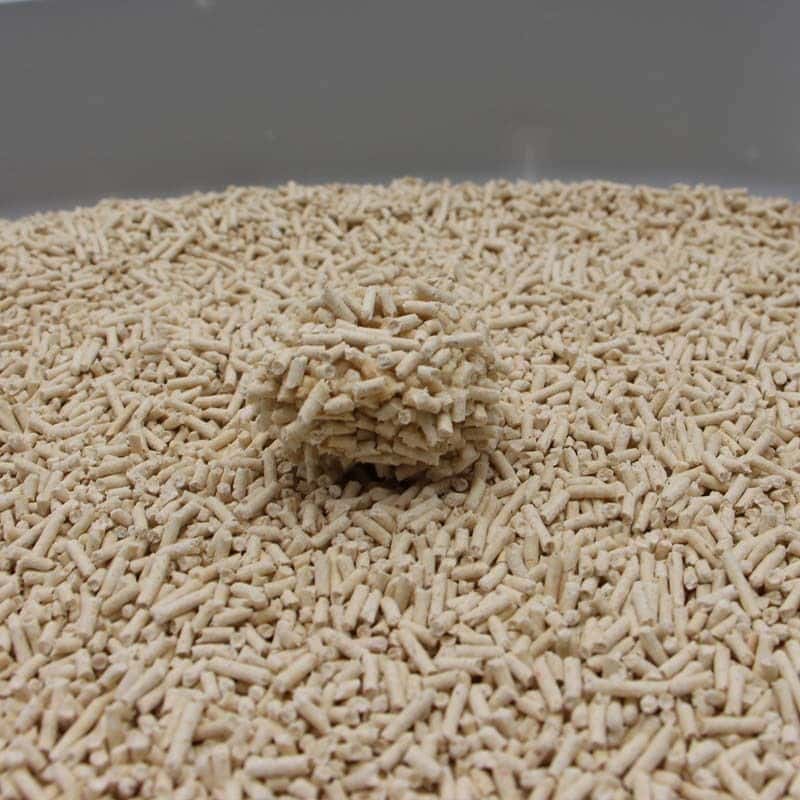 Spain 20,000 tons of new plant cat litter project