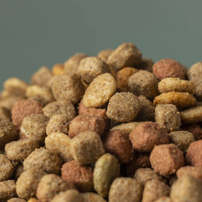 UAE pet food processing project