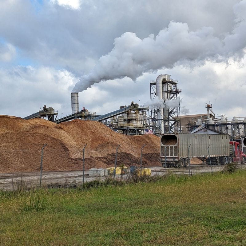Venezuela annual production of 50,000 tons of biomass pellets project officially put into production