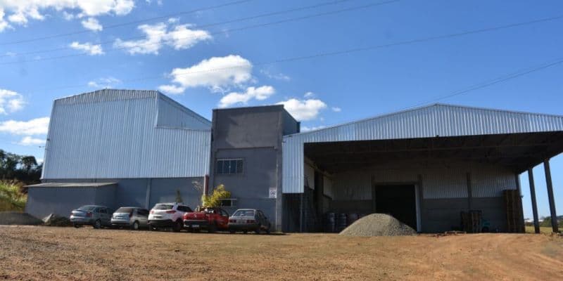 2.5T/H Wood Pellet Processing equipment for sale brazil
