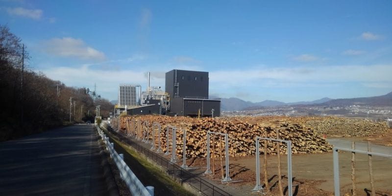 Waste wood pellet processing equipment for sale Japan