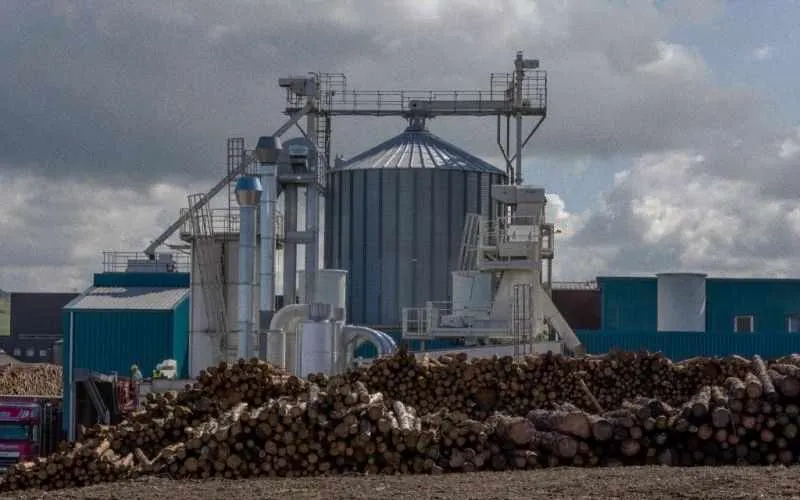 12-15tph complete wood pellet plant for sale