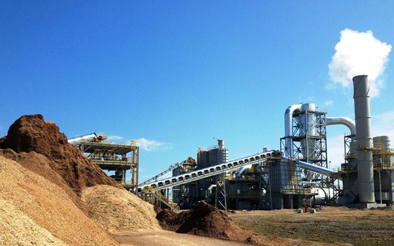 Turnkey Biomass Pellet Line in Netherlands