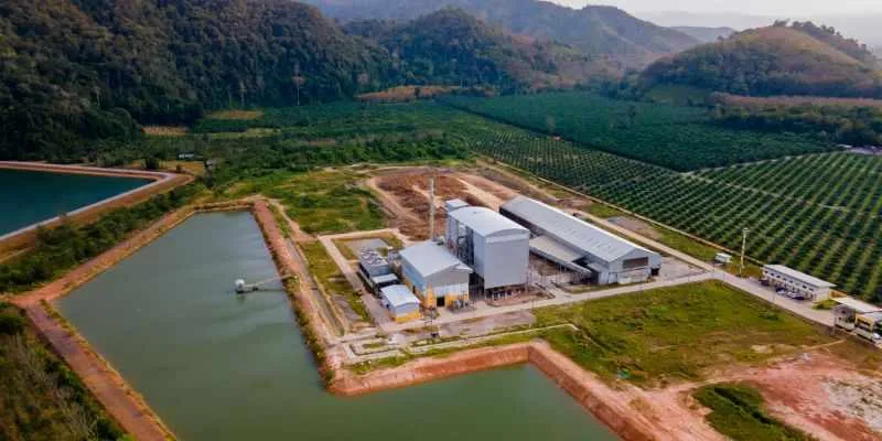 Vietnam 5 tons wood pellet processing plant project