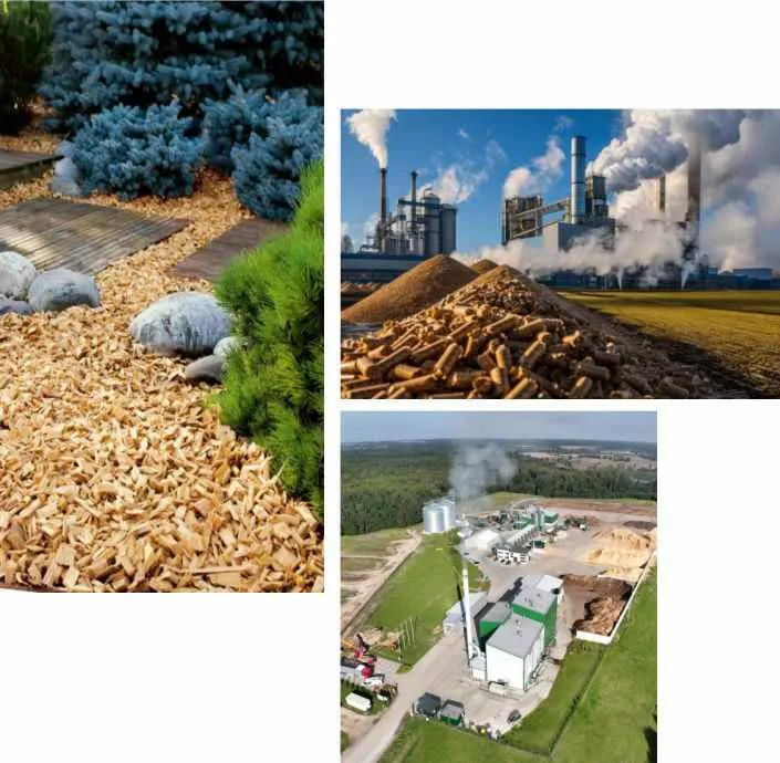 pellet plant for wood