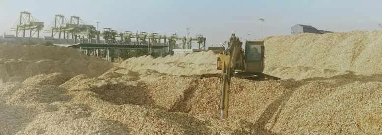 wood chip
